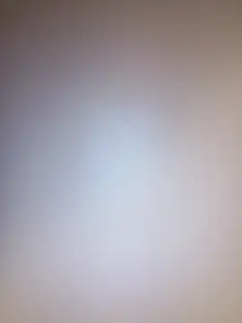 Treemandude online show from 09.08.25