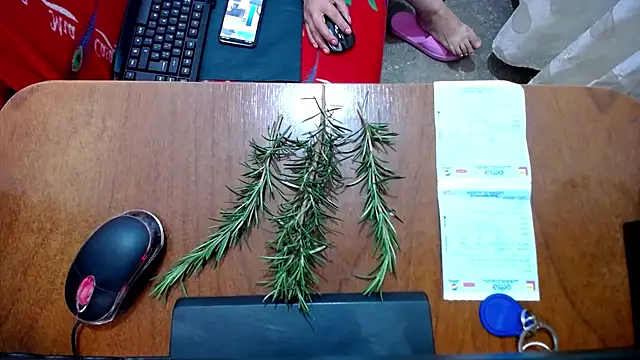 Malaya88 online show from 02.16.25