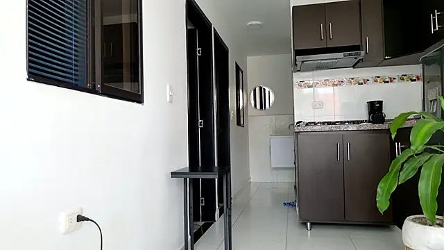 grey   27 online show from 03.06.25