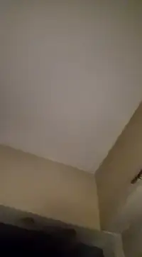 gala2 online show from 01.19.25