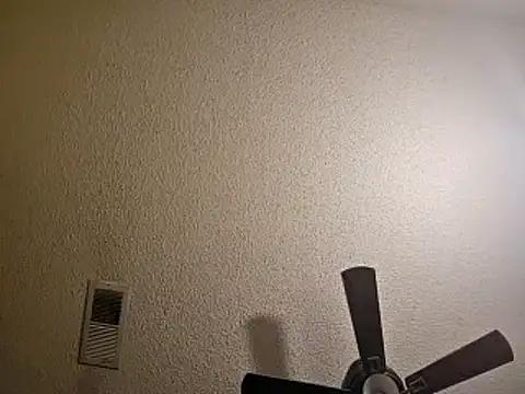 Forbidden daddy online show from 12.13.24