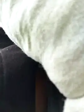 Emily Wane online show from 02.24.26