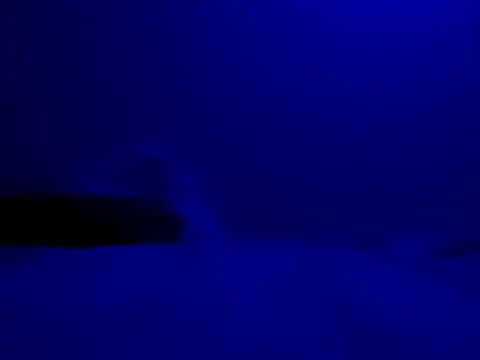 Snapshot of Blkstylion chatting on 11.27.25 Blkstylion online show from 11.27.25