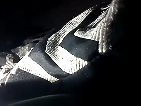 Snapshot of Blkstylion chatting on 12.04.25 Blkstylion online show from 12.04.25