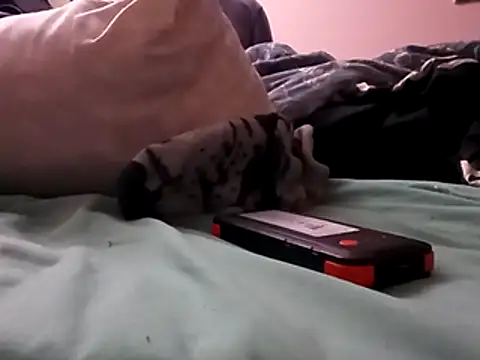 Snapshot of Blkstylion chatting on 12.05.25 Blkstylion online show from 12.05.25