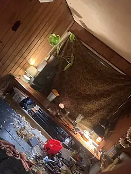 SexToyOnely online show from 02.06.26