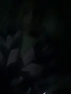 ChantalXOrchid online show from 04.04.26