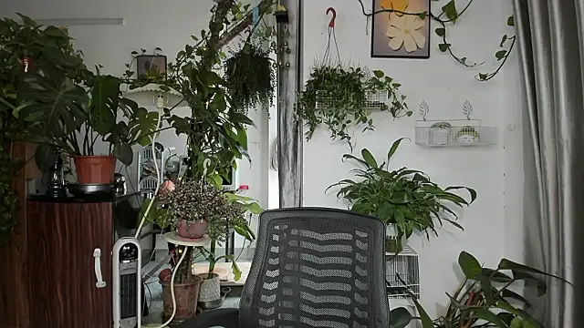 Oliver Nl online show from 03.13.26