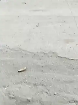 Snapshot of Monster_Bigdick chatting on 12.07.24 Monster Bigdick online show from 12.07.24