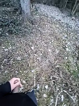 Picknick84 online show from 03.21.25