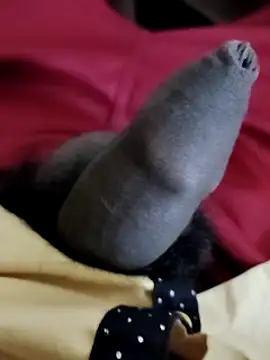 Snapshot of Ashish02345 chatting on 12.06.24 Ashish02345 online show from 12.06.24