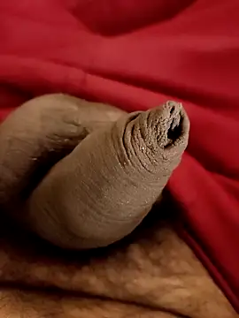 Snapshot of Ashish02345 chatting on 01.25.25 Ashish02345 online show from 01.25.25