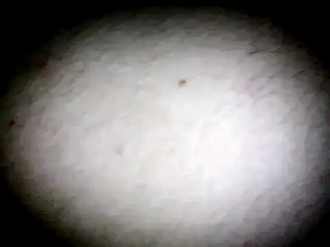 anald66666 online show from 01.13.25