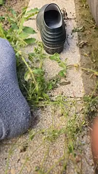 anald66666 online show from 04.23.26