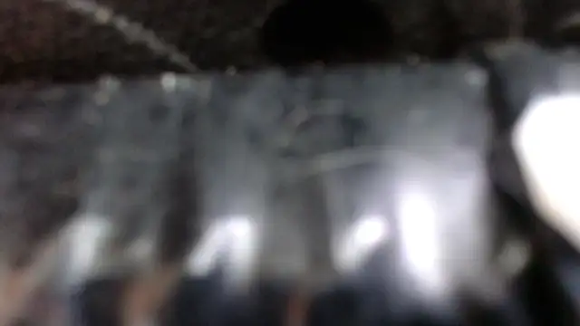 SaraMartins00 online show from 12.14.24