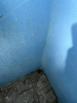 mfloressd14 online show from 01.08.26