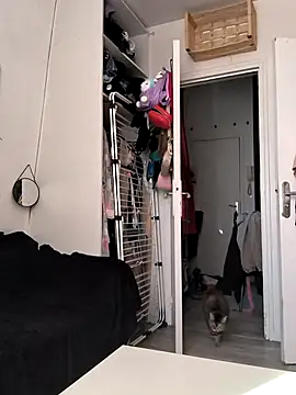 Snapshot of mamiedonuts chatting on 03.20.25 mamiedonuts online show from 03.20.25