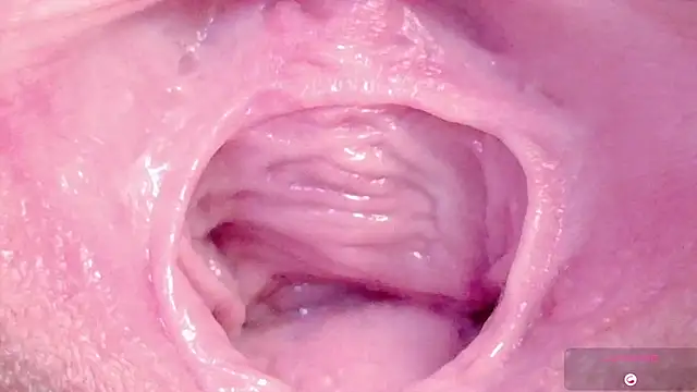 Alu ryu online show from 03.11.26