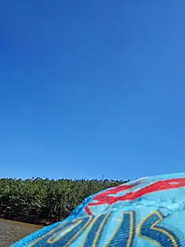 Snapshot of Dixiefaye_Pika chatting on 03.18.25 Dixiefaye Pika online show from 03.18.25