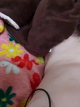 Adee21e online show from 12.03.25