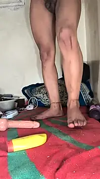 trans511 online show from 11.27.25