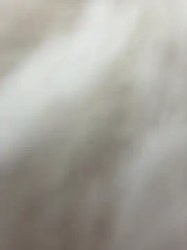 NewLale online show from 01.27.25