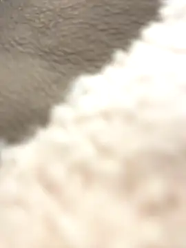 NewLale online show from 10.12.25