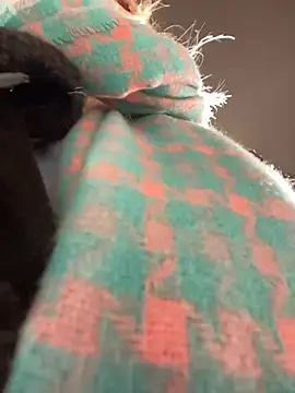 Snapshot of MerlinDave chatting on 01.06.25 MerlinDave online show from 01.06.25