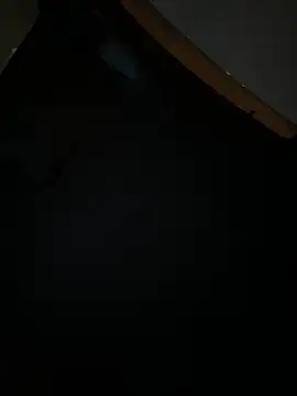 Snapshot of MerlinDave chatting on 01.11.25 MerlinDave online show from 01.11.25