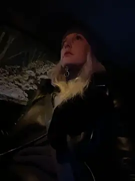 Snapshot of MerlinDave chatting on 01.29.25 MerlinDave online show from 01.29.25