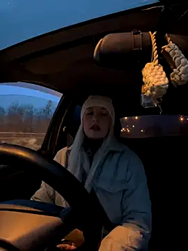 Snapshot of MerlinDave chatting on 11.04.25 MerlinDave online show from 11.04.25