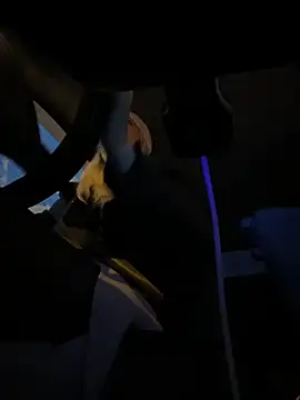 Snapshot of MerlinDave chatting on 11.05.25 MerlinDave online show from 11.05.25