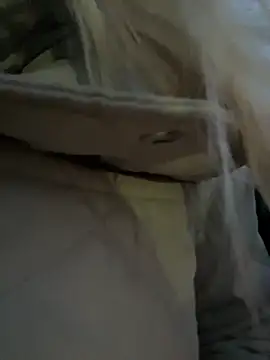 Snapshot of MerlinDave chatting on 12.03.25 MerlinDave online show from 12.03.25