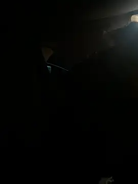 starrynikki online show from 02.21.25