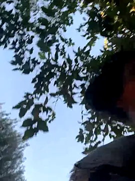 starrynikki online show from 10.24.25