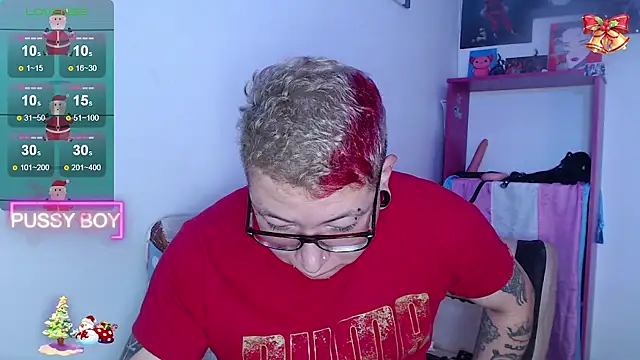 Snapshot of princeFtm chatting on 12.27.24 princeFtm online show from 12.27.24