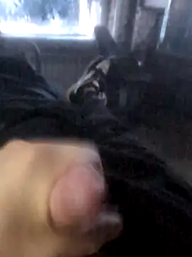 Boysex227 online show from 03.19.26