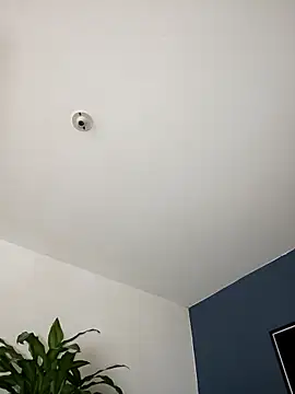 SilvaBranko online show from 11.02.25