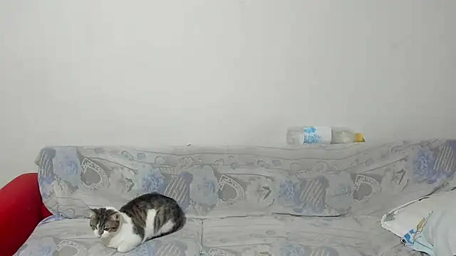 Snapshot of ANGELALEXYNO2024 chatting on 02.26.25 ANGELALEXYNO2024 online show from 02.26.25