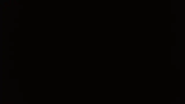 CanelaCollins online show from 11.30.25