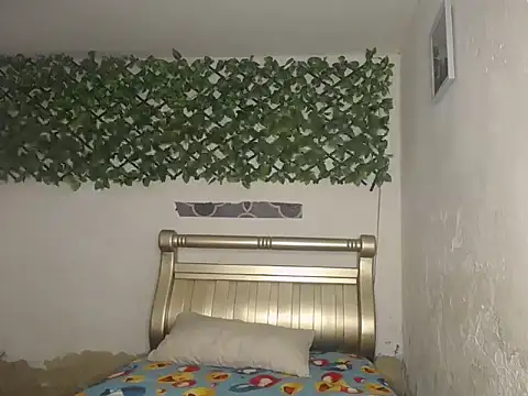 Snapshot of nedd_master chatting on 02.13.26 nedd master online show from 02.13.26