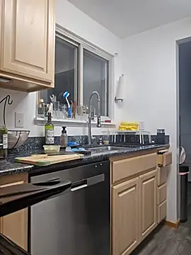 Armyexhibitionistvet online show from 04.15.26