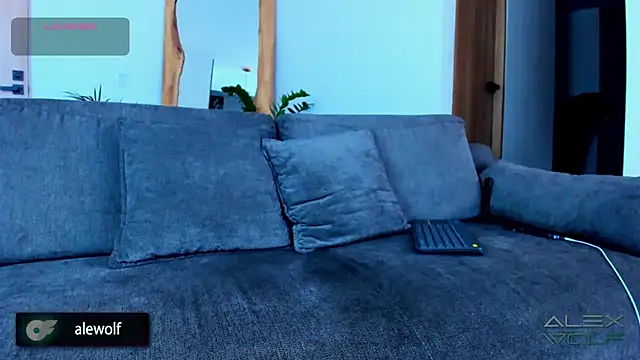 alex wolf  online show from 11.28.25