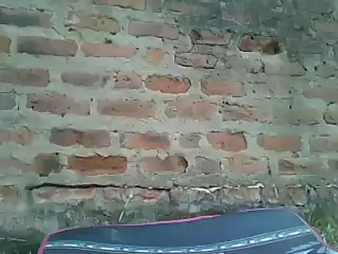 Javan  online show from 01.13.25