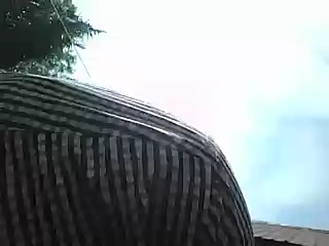 Javan  online show from 01.15.25