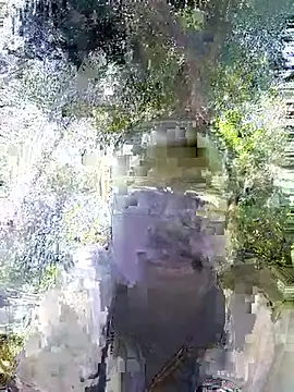 Javan  online show from 02.04.26