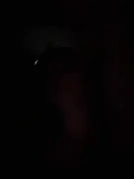 adel secret online show from 03.08.25