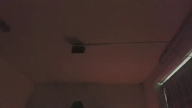 Paloma victory online show from 04.04.26