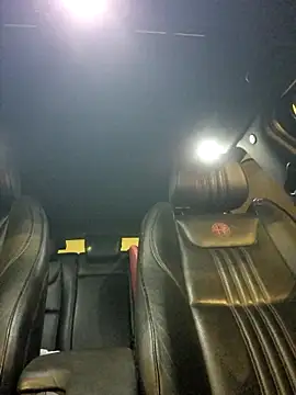 robertilevis online show from 01.29.25