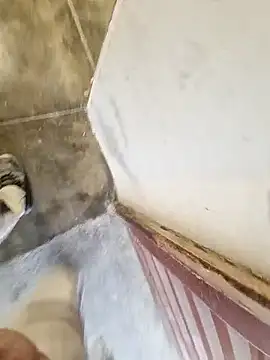 robertilevis online show from 02.27.26